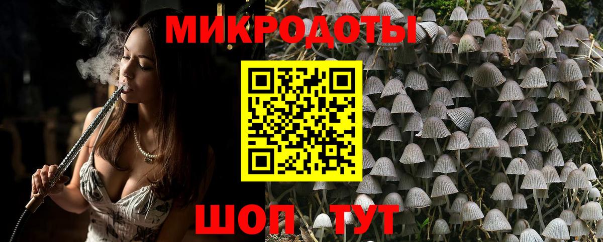 Кулебаки  Галлюциногенные грибы Psilocybine cubensis  Псилоцибиновые грибы MAGIC MUSHROOMS  Вход с VPN 